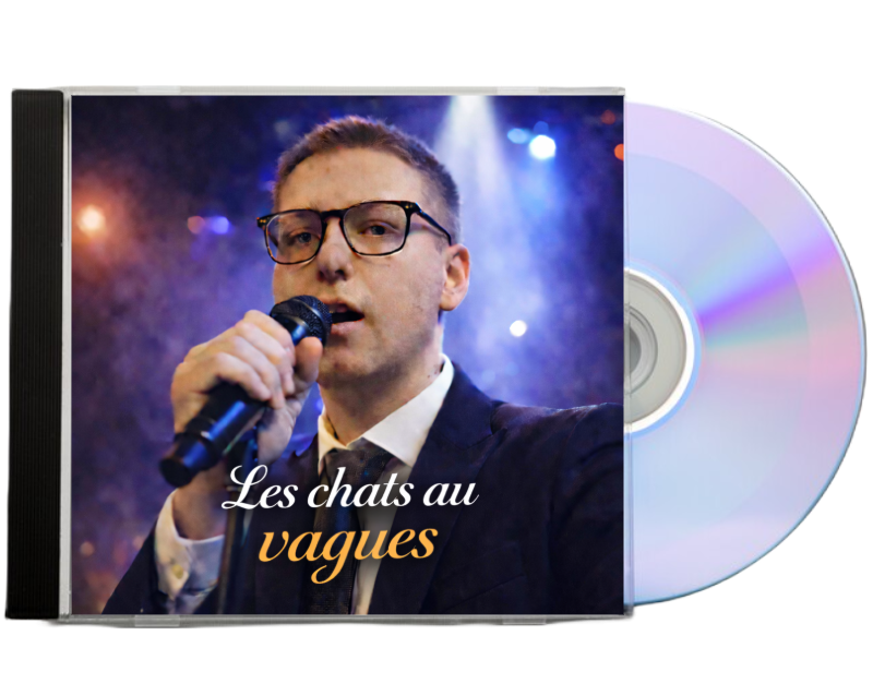 Les chats Aux Vagues